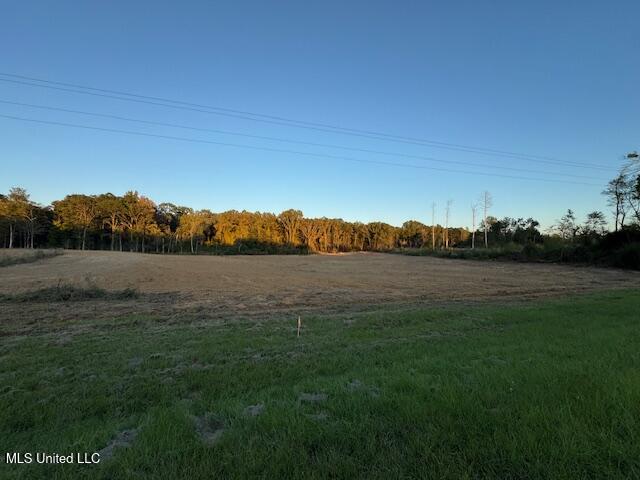 124 Davis Crossing Road Canton, MS 39046 - Photo 6 of 10 IMG_4476