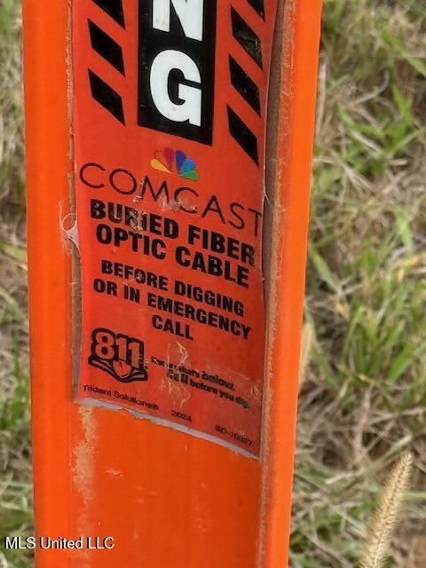 124 Davis Crossing Road Canton, MS 39046 - Photo 10 of 10 fiber