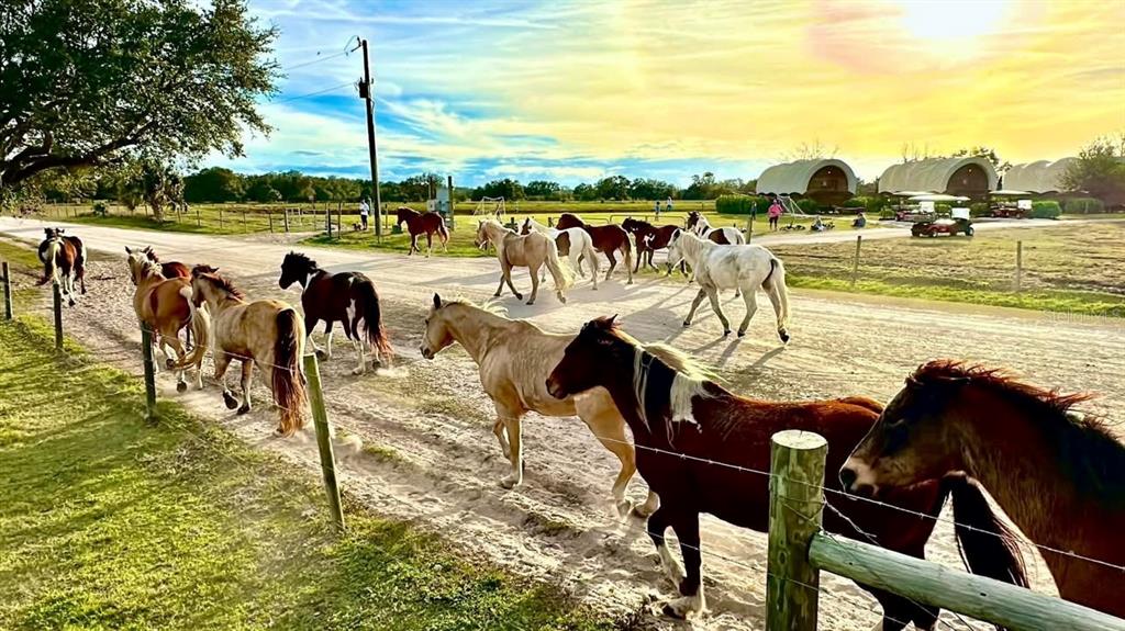 359 Possum Path River Ranch, FL 33867 - Photo 20 of 21 a view of a swimming pool with a patio