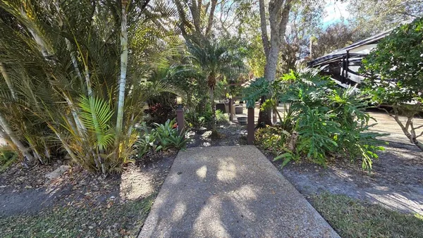 a view of a yard with plants and large trees