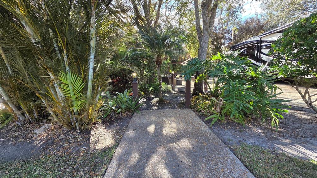 359 Possum Path River Ranch, FL 33867 - Photo 3 of 21 a view of a yard with plants and large trees