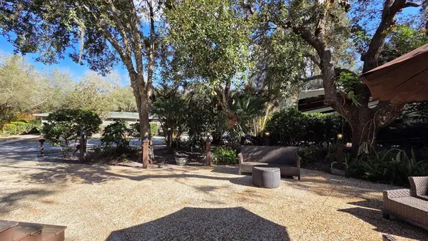 a view of a fire pit with large trees