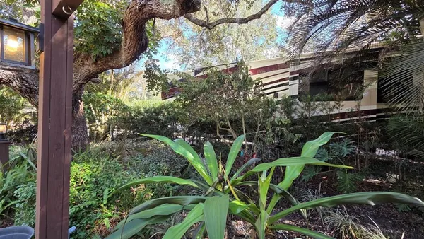 a view of a yard with plants
