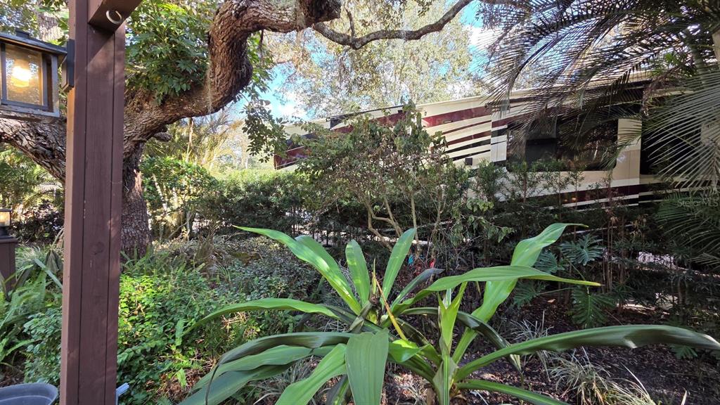 359 Possum Path River Ranch, FL 33867 - Photo 8 of 21 a view of a yard with plants