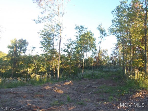 0 Hard Rock Ridge Elizabeth, WV 26143 - Photo 13 of 16 2nd cleared site to build