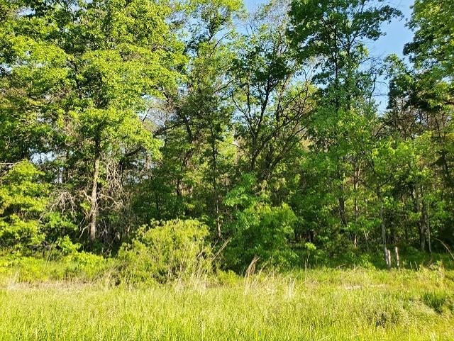 0 Quigley Road, Unit 40 ACRES QUIGLEY ROAD Alger, MI 48610 - Photo 6 of 8