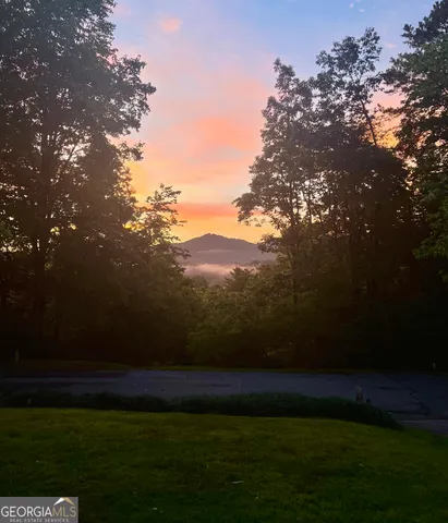 a view of yard with green space