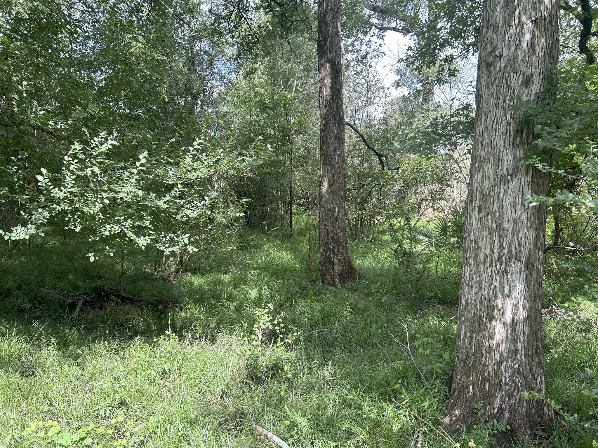 Tbd Holik Road Hempstead, TX 77445 - Photo 42 of 50