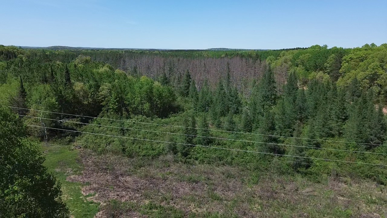 349 X 5th Avenue Shell Lake, WI 54871 - Photo 26 of 37
