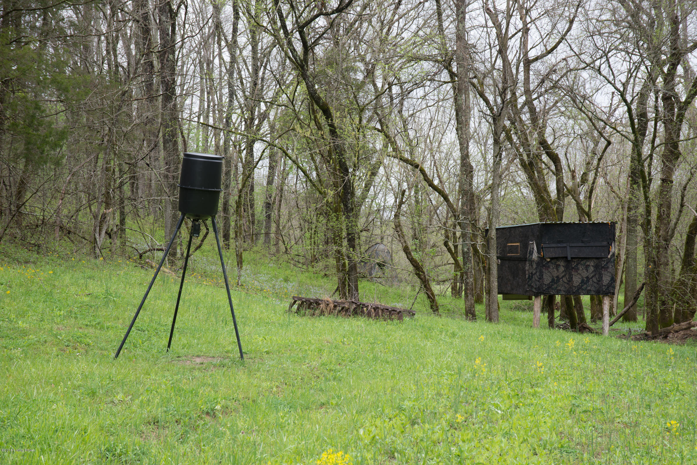 1221 Fairview Road Lawrenceburg, KY 40342 - Photo 3 of 18 57-DSC_6518