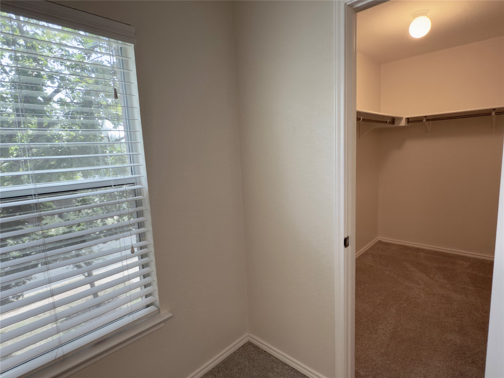 1206 Devil Ridge Cedar Park, TX 78613 - Photo 31 of 38 a view of closet