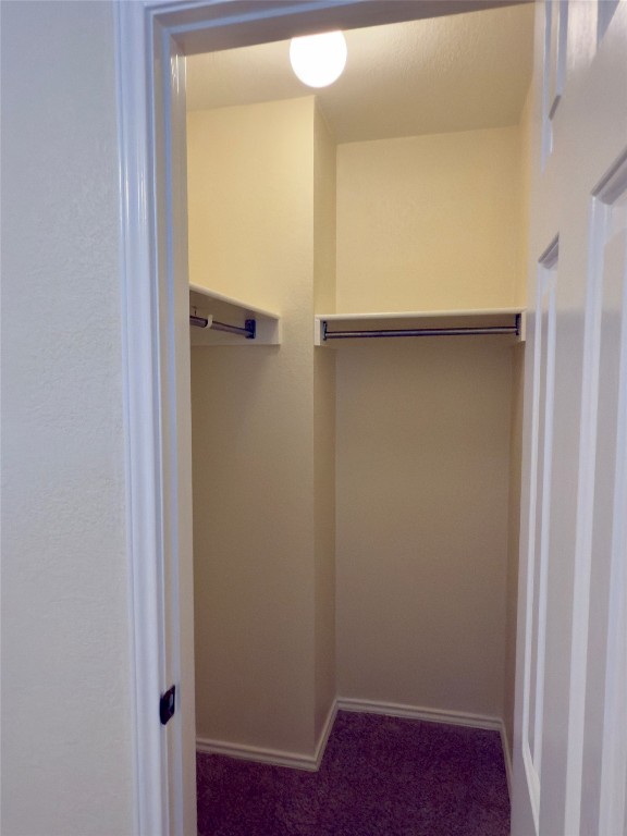 1206 Devil Ridge Cedar Park, TX 78613 - Photo 32 of 38 Spacious closet featuring dark carpet