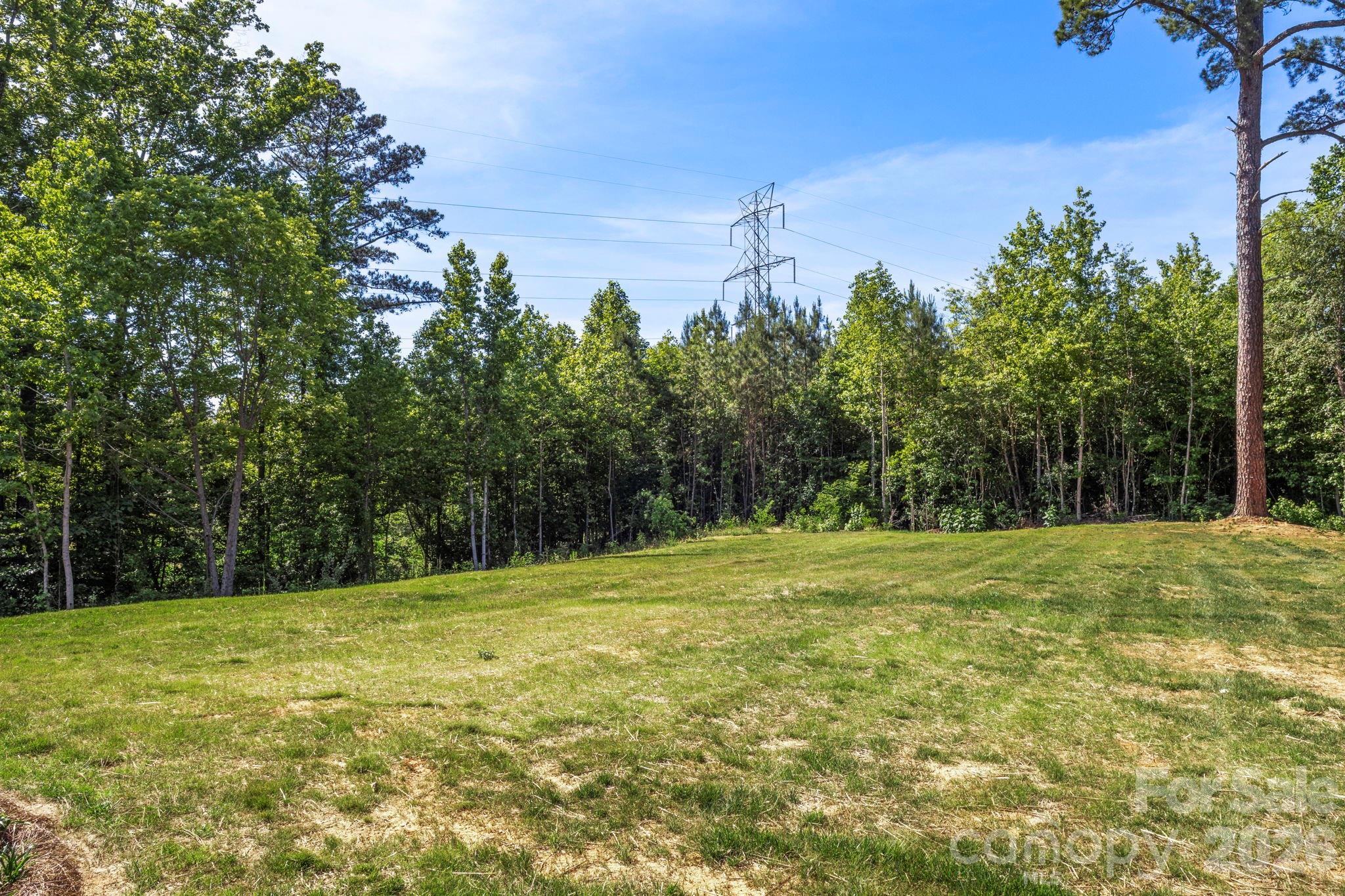 1167 Tirzah Road Rock Hill, SC 29732 - Photo 24 of 25 a view of a field with trees in the background