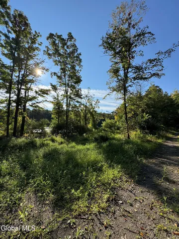 $290,000 | L2 High Rock Road, West Coxsackie, NY 12192