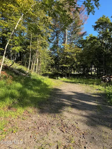 $290,000 | L2 High Rock Road, West Coxsackie, NY 12192