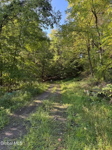 $290,000 | L2 High Rock Road, West Coxsackie, NY 12192