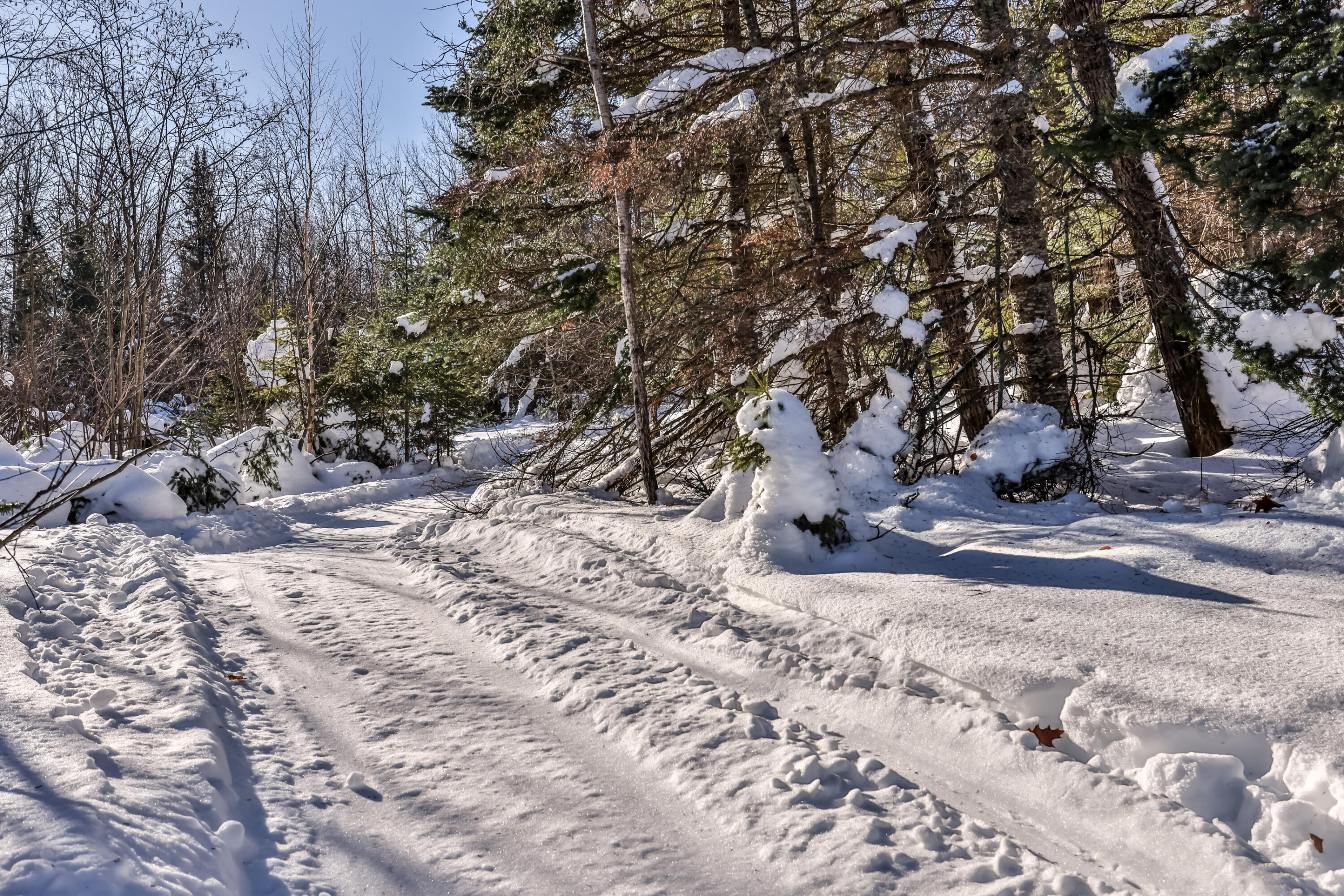 5053 Anderson Road Hurley, WI 54534 - Photo 29 of 33 Private Trails