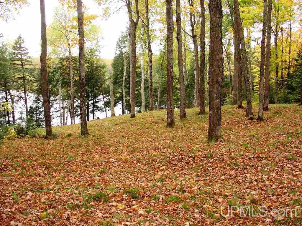 Off East Hawk Lake Road, Unit 3 Marenisco, MI 49947 - Photo 18 of 18