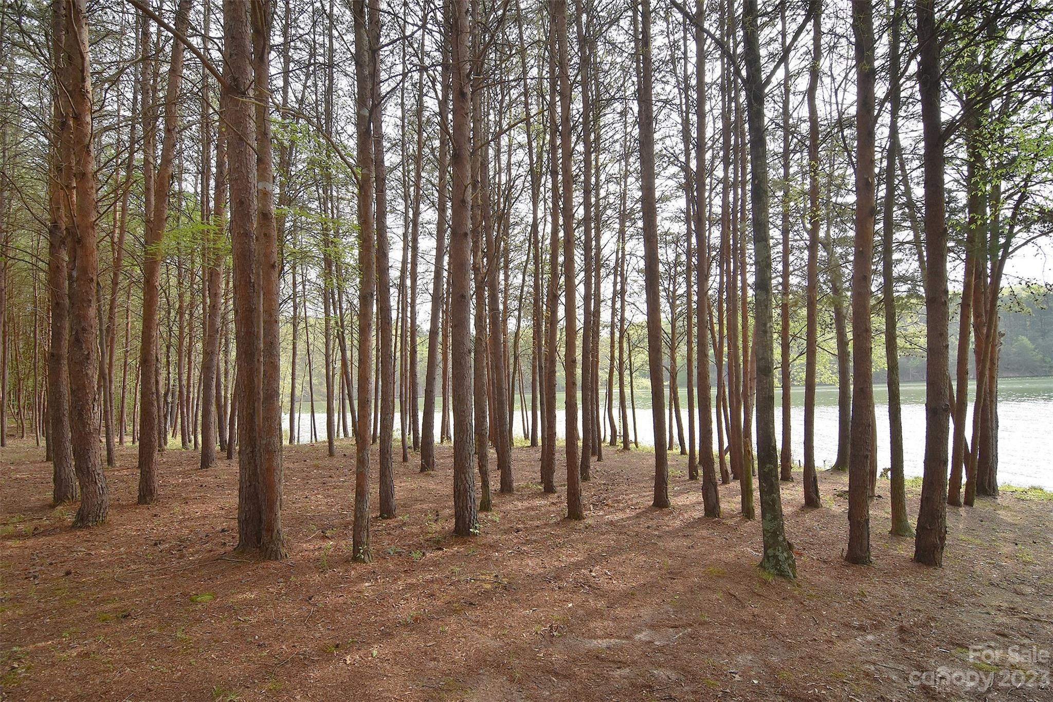 3614 Rankin Road Concord, NC 28027 - Photo 35 of 40 Gallery Image 35
