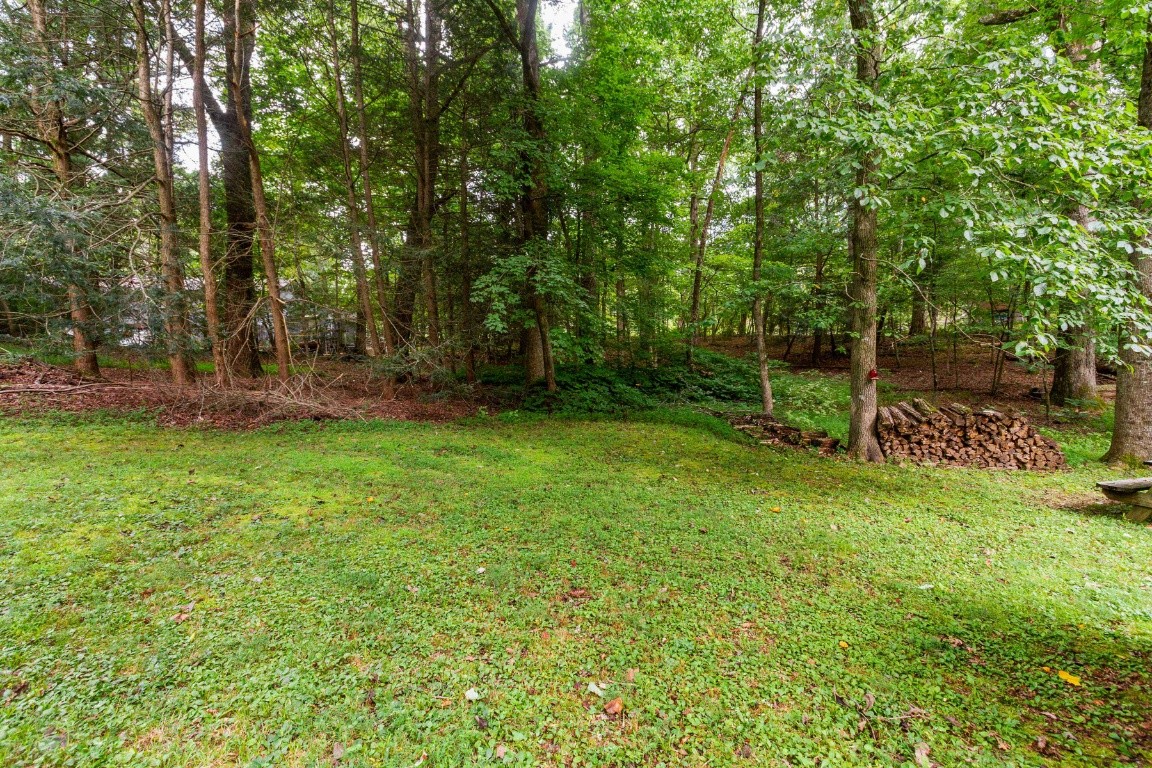 161 Curlicue Road Sewanee, TN 37375 - Photo 3 of 50 a view of a yard with a tree