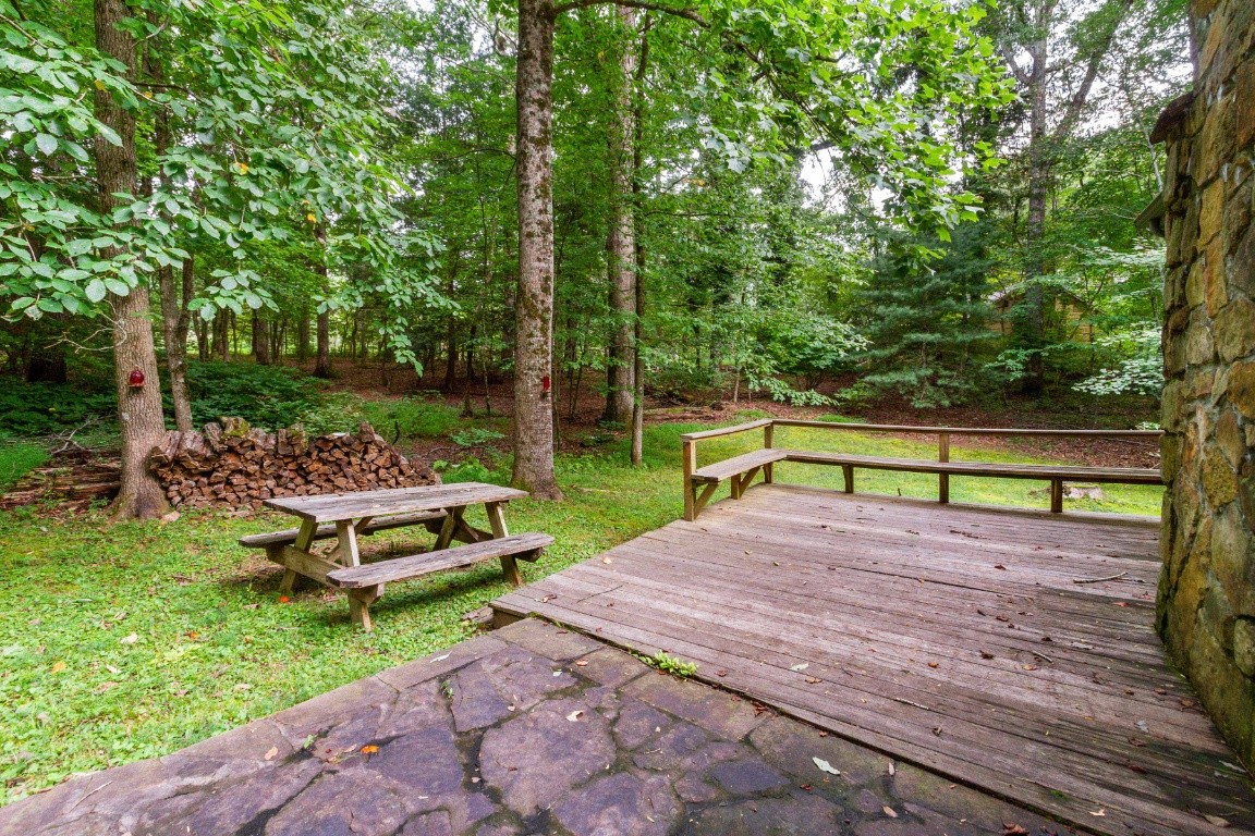 161 Curlicue Road Sewanee, TN 37375 - Photo 8 of 50 a view of a park with large trees