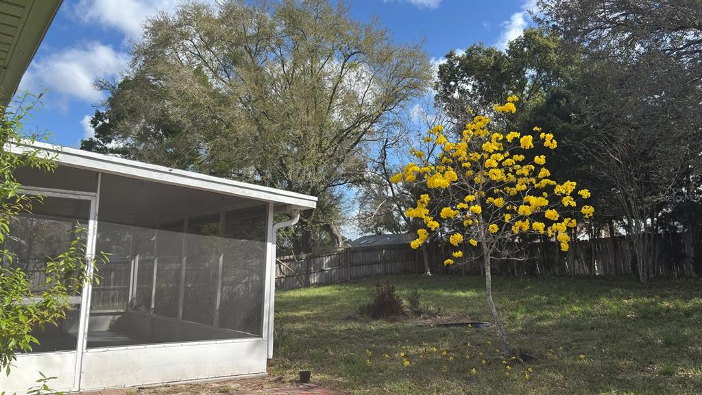 5127 Mill Stream Road Ocoee, FL 34761 - Photo 14 of 20