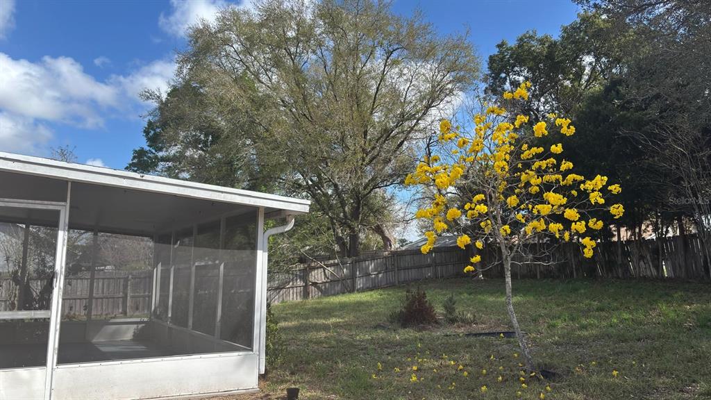 5127 Mill Stream Road Ocoee, FL 34761 - Photo 15 of 20