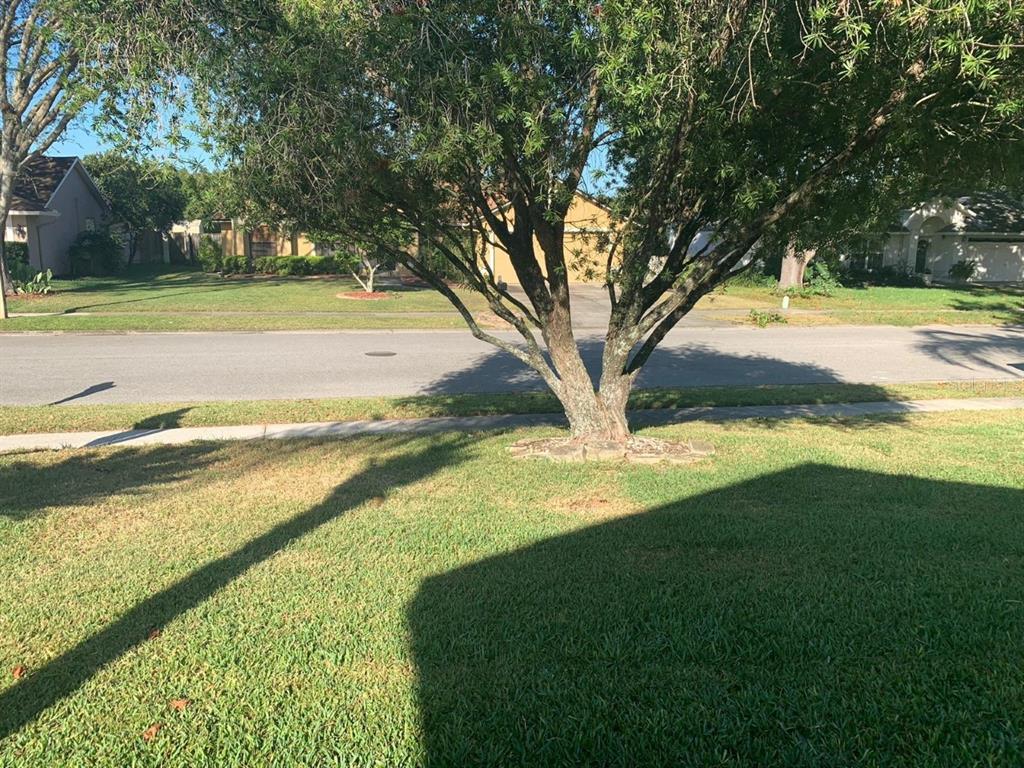 5127 Mill Stream Road Ocoee, FL 34761 - Photo 17 of 20 a view of yard with outdoor space