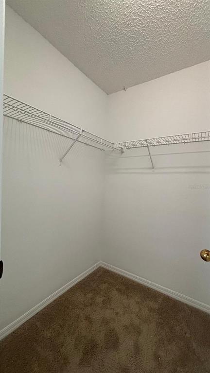 5127 Mill Stream Road Ocoee, FL 34761 - Photo 9 of 20