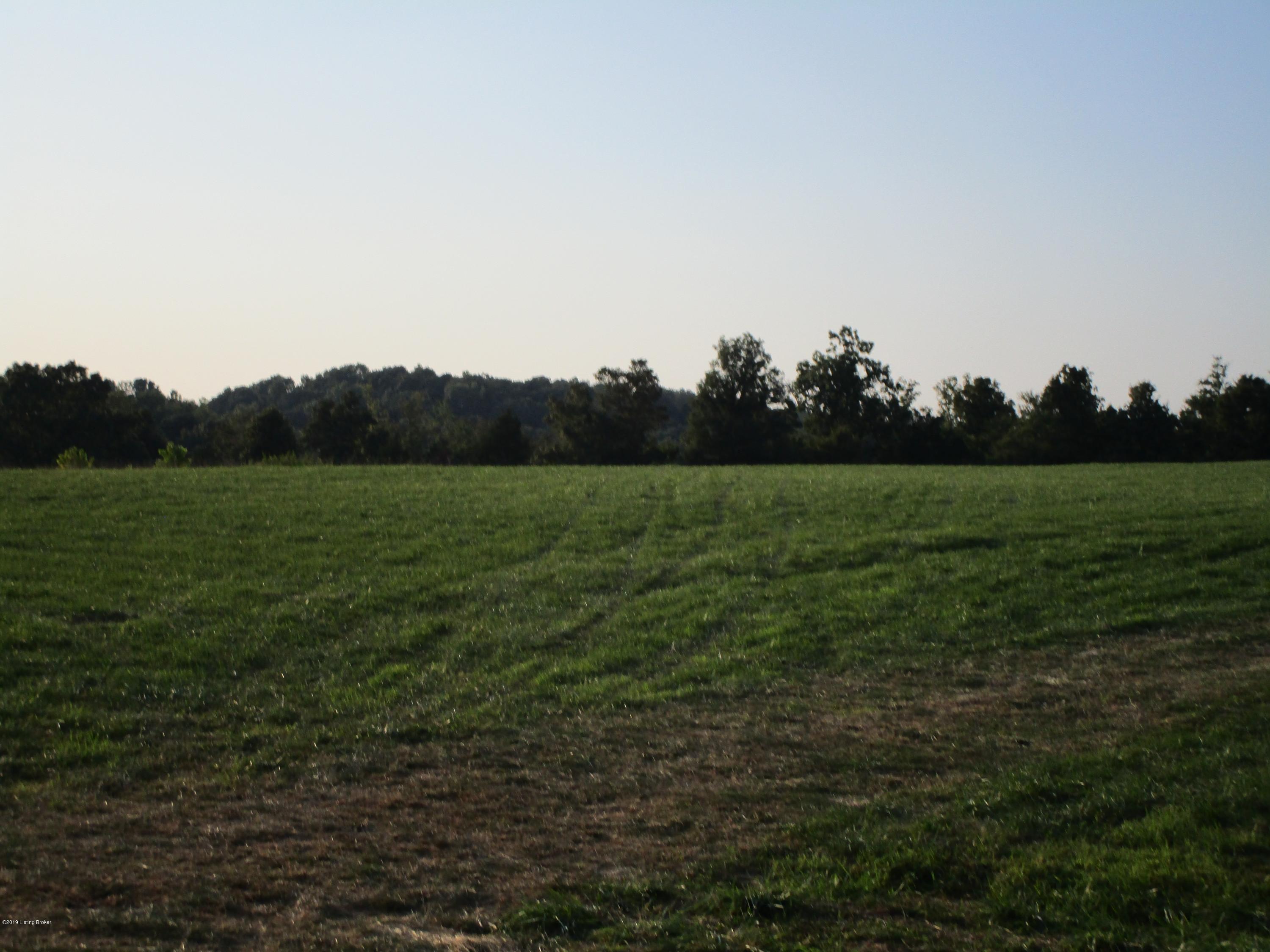 1171 Post-Hopewell Road Caneyville, KY 42721 - Photo 23 of 55 IMG_0158