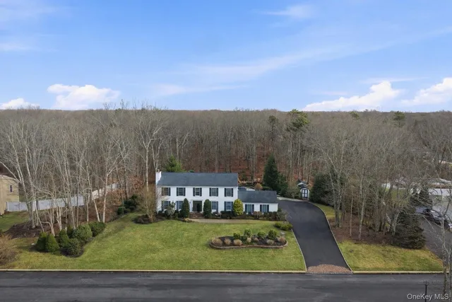 a view of a big yard with potted plants and large tree
