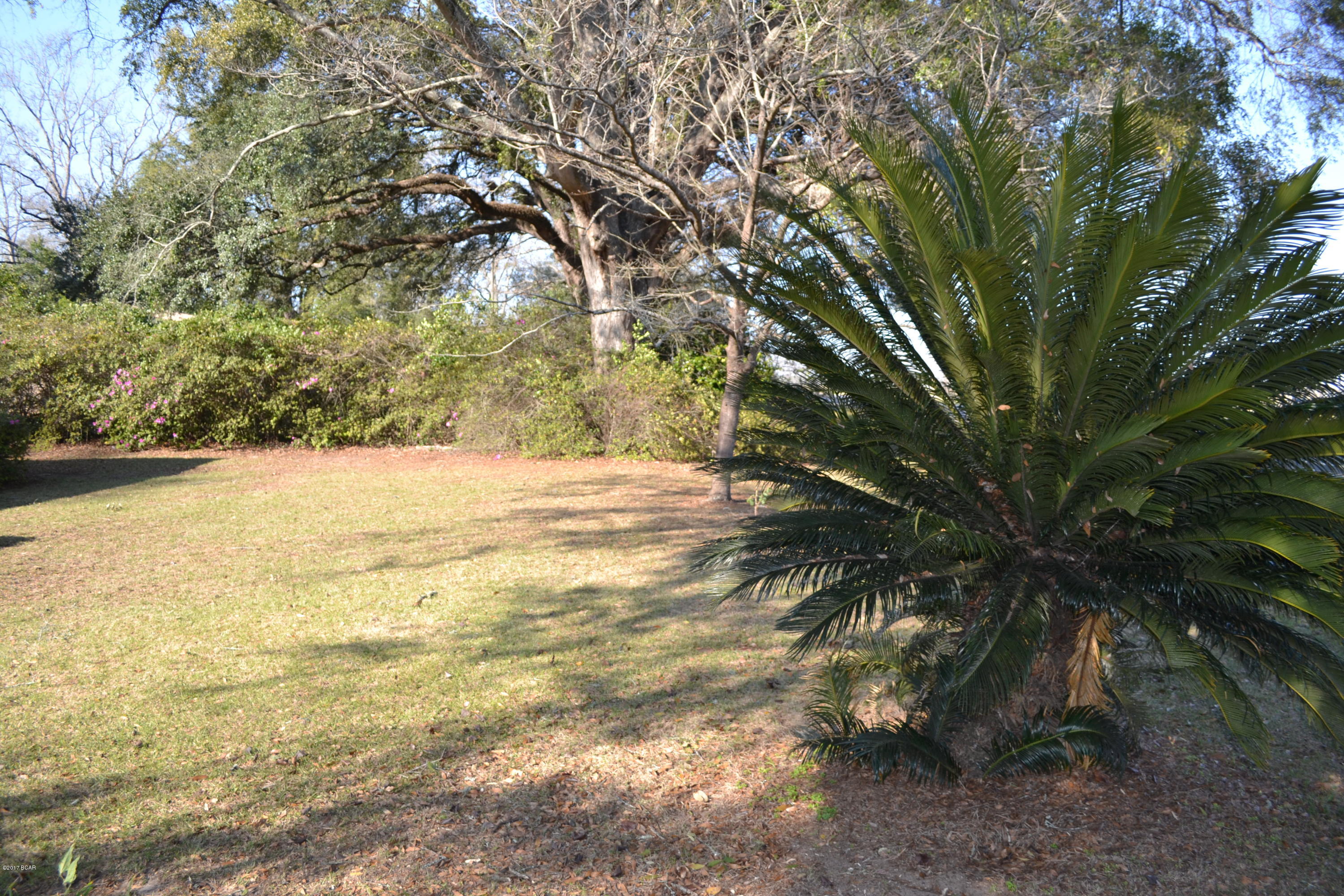 2031 Legion Road Sneads, FL 32460 - Photo 6 of 22 Gallery Image 6