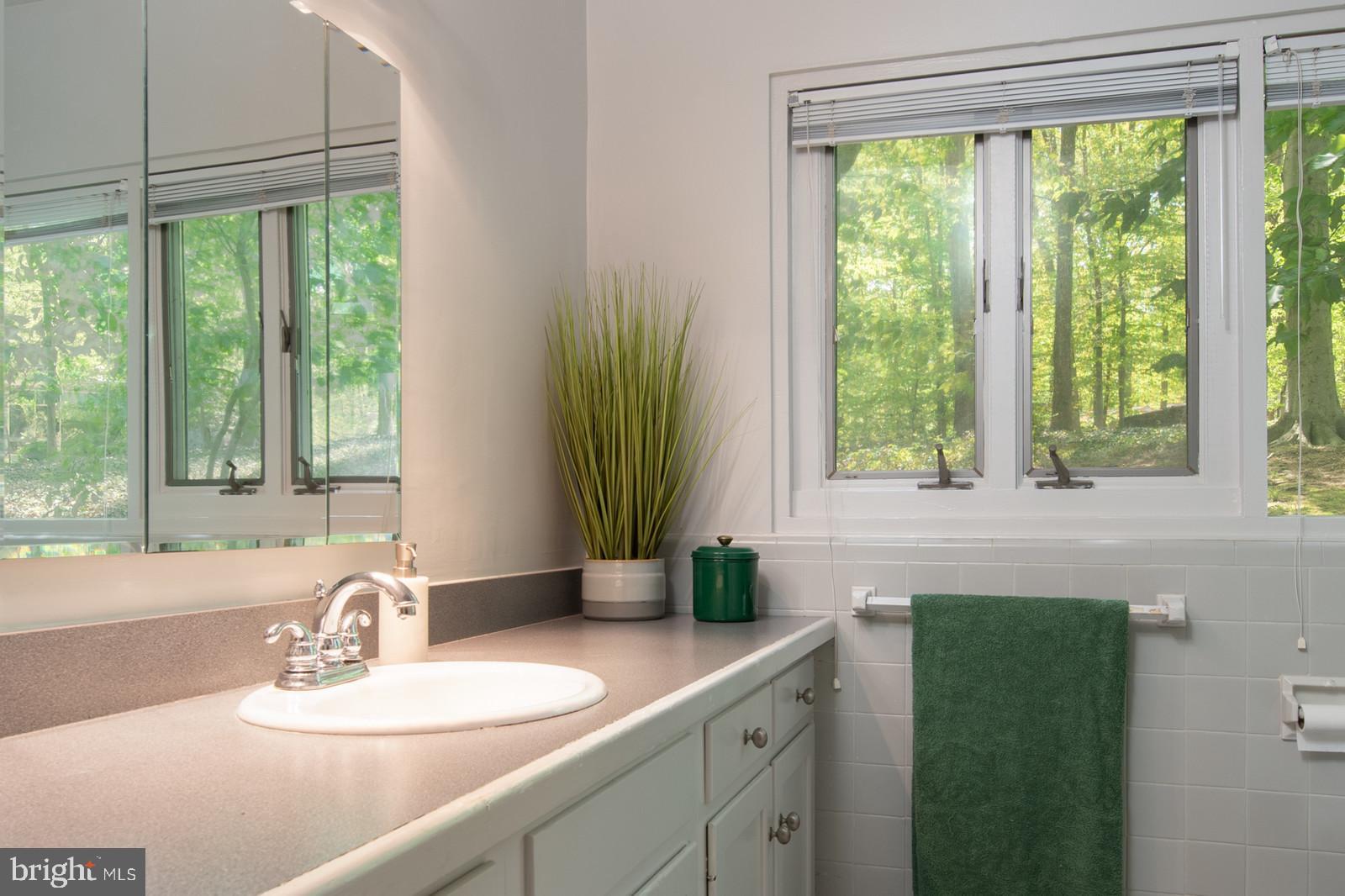 2119 Paul Spring Road Alexandria, VA 22307 - Photo 23 of 32 Hall Bathroom, Upper Level