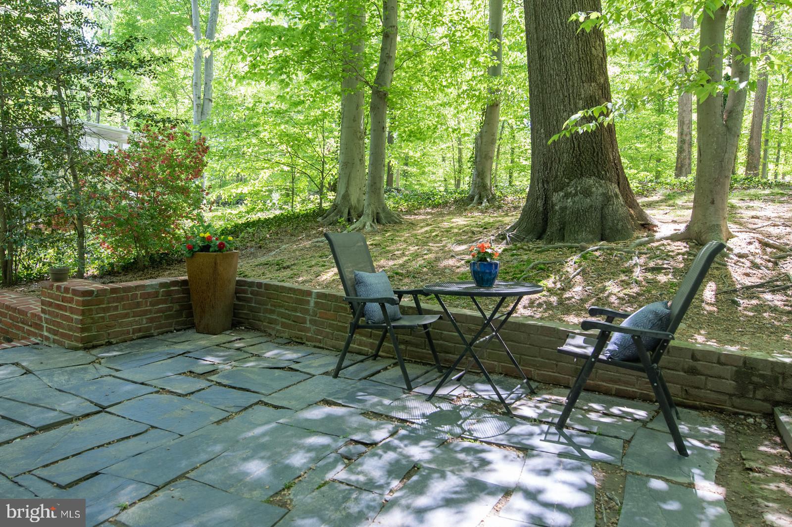 2119 Paul Spring Road Alexandria, VA 22307 - Photo 26 of 32 Patio off Upper Level Living room