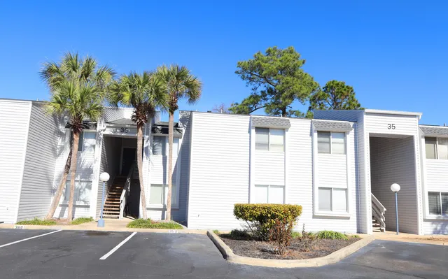 a view of a house with a potted plant and a potted plant
