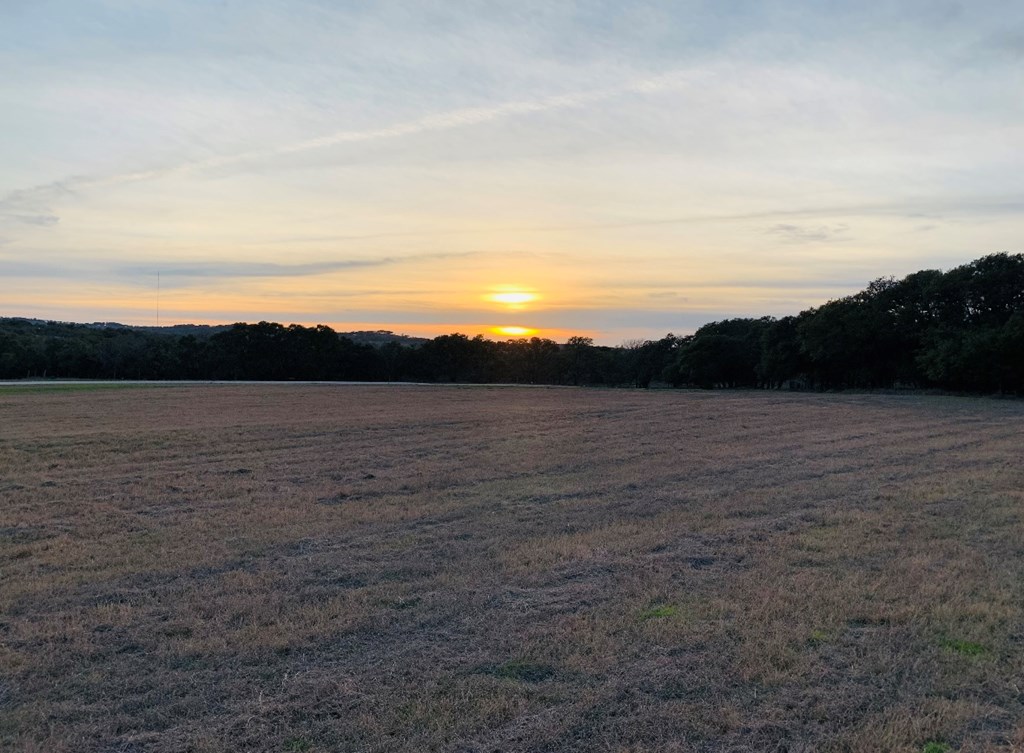 Lot 1-2 West Purple Sage, Unit 1 2 Blanco, TX 78606 - Photo 6 of 6