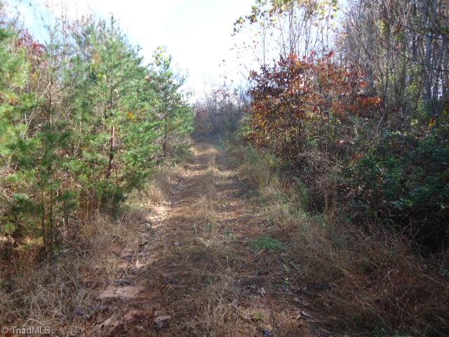 40-ac Amostown Road Sandy Ridge, NC 27046 - Photo 2 of 24