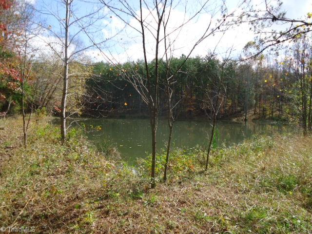 40-ac Amostown Road Sandy Ridge, NC 27046 - Photo 11 of 24