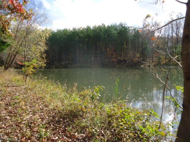 40-ac Amostown Road Sandy Ridge, NC 27046 - Photo 12 of 24