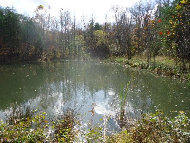 40-ac Amostown Road Sandy Ridge, NC 27046 - Photo 13 of 24