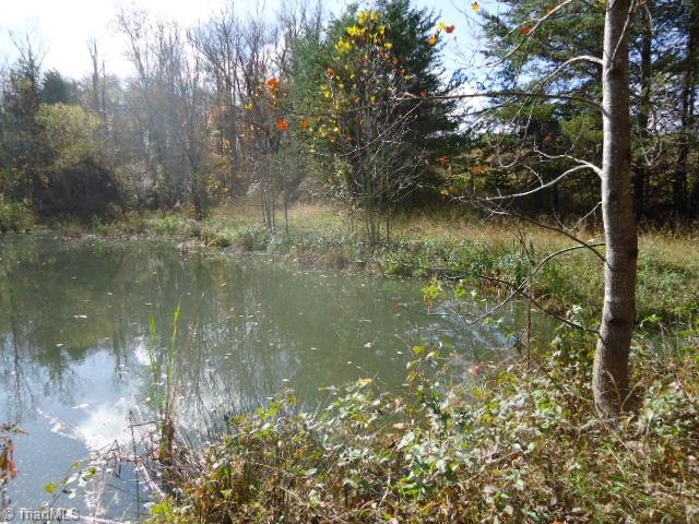 40-ac Amostown Road Sandy Ridge, NC 27046 - Photo 14 of 24