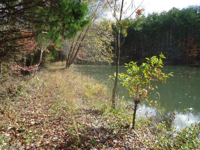 40-ac Amostown Road Sandy Ridge, NC 27046 - Photo 15 of 24