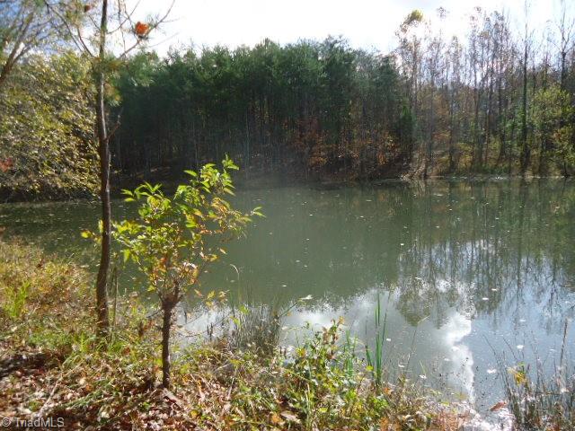40-ac Amostown Road Sandy Ridge, NC 27046 - Photo 16 of 24