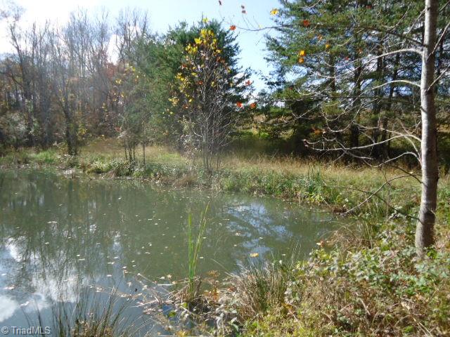 40-ac Amostown Road Sandy Ridge, NC 27046 - Photo 17 of 24