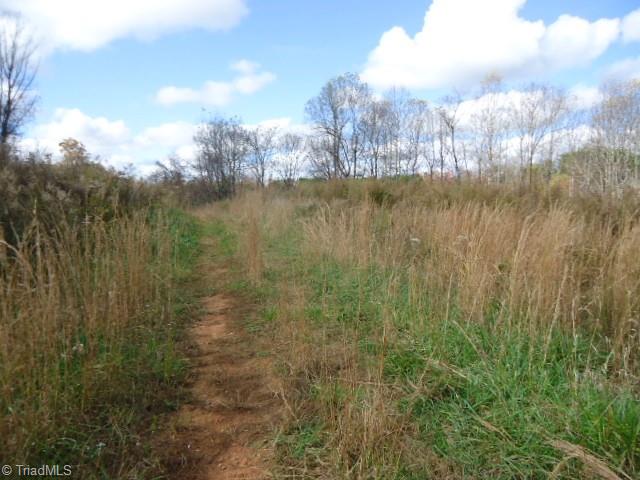 40-ac Amostown Road Sandy Ridge, NC 27046 - Photo 18 of 24
