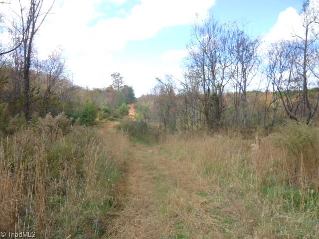 40-ac Amostown Road Sandy Ridge, NC 27046 - Photo 19 of 24