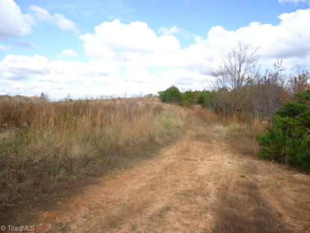 40-ac Amostown Road Sandy Ridge, NC 27046 - Photo 20 of 24