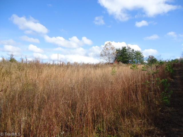 40-ac Amostown Road Sandy Ridge, NC 27046 - Photo 3 of 24