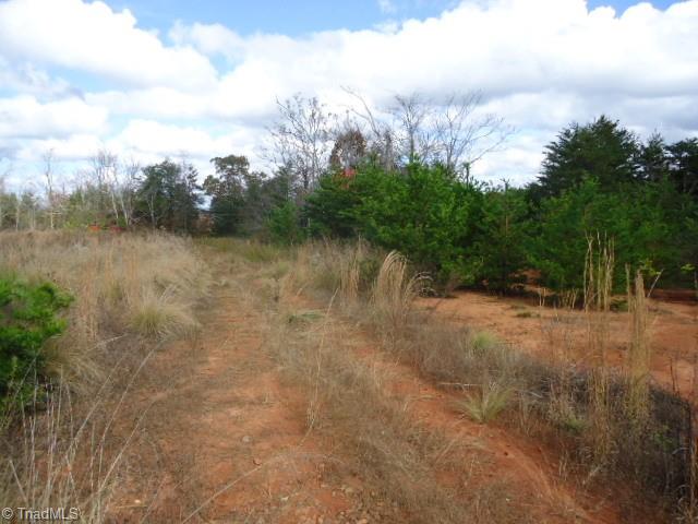 40-ac Amostown Road Sandy Ridge, NC 27046 - Photo 21 of 24