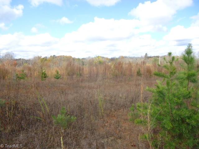 40-ac Amostown Road Sandy Ridge, NC 27046 - Photo 22 of 24